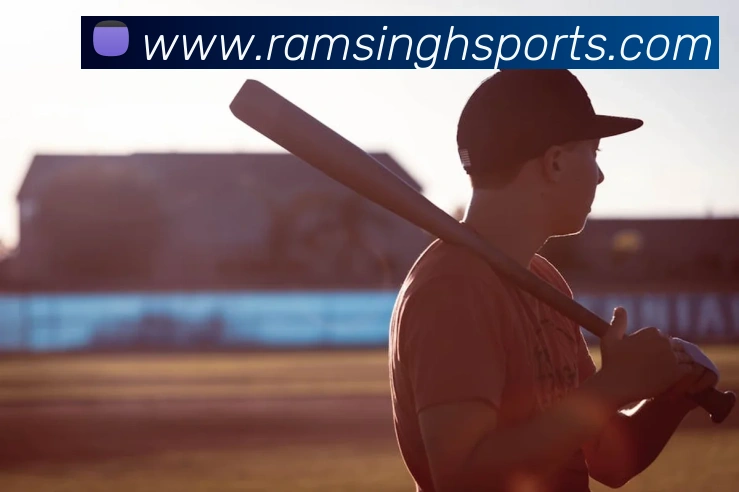 体育下注平台生态图